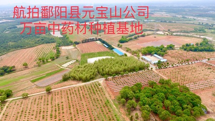 中医药产业链高质量发展与文旅融合 聚焦上饶市新规与旅游信息服务